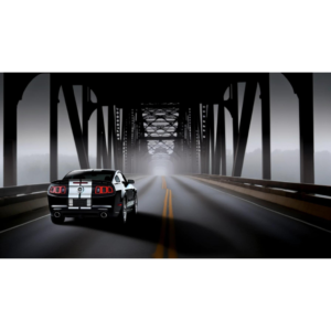 2013 GT500 on the bridge.
